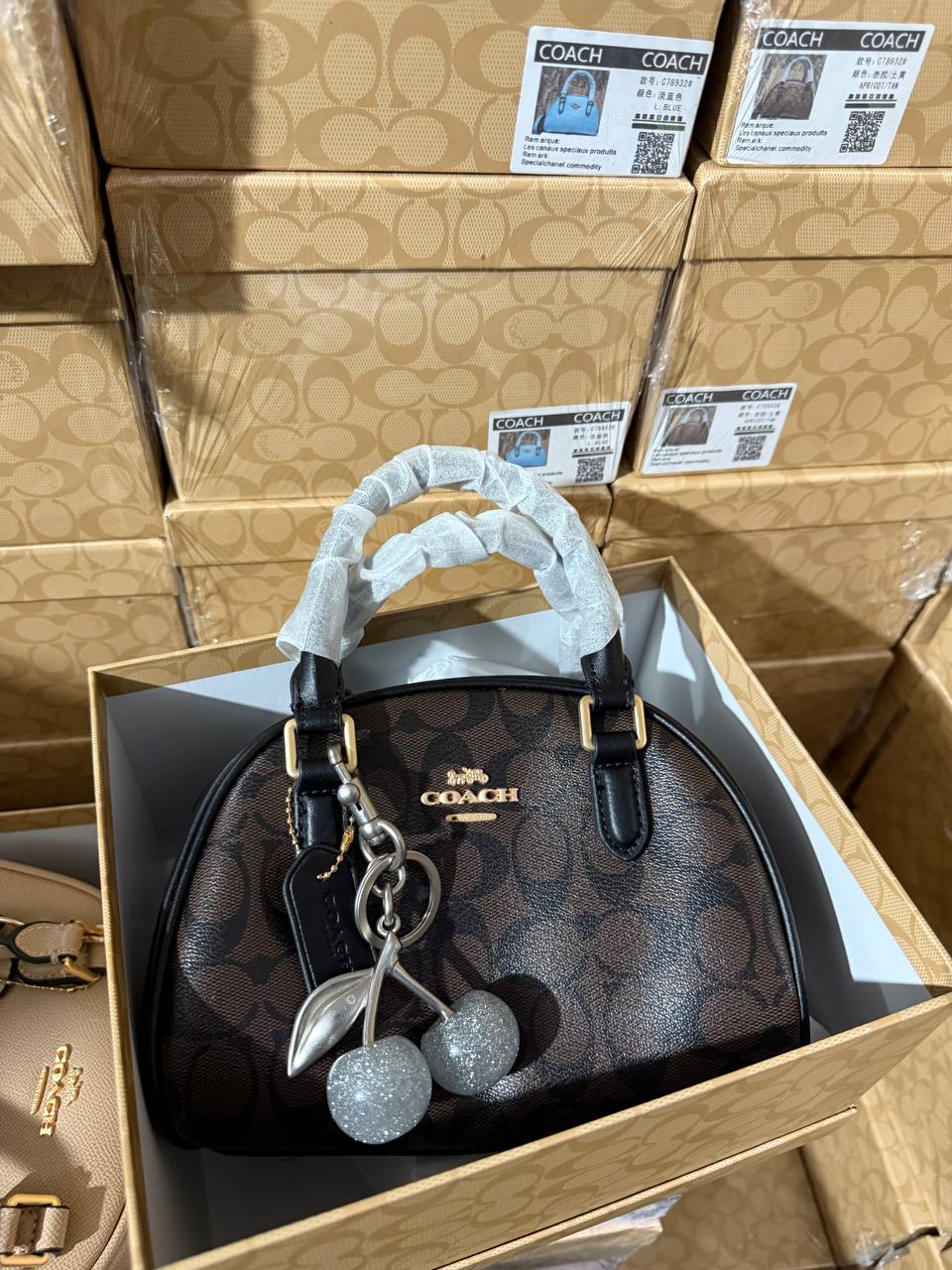 Sac Chic Coach CO8538