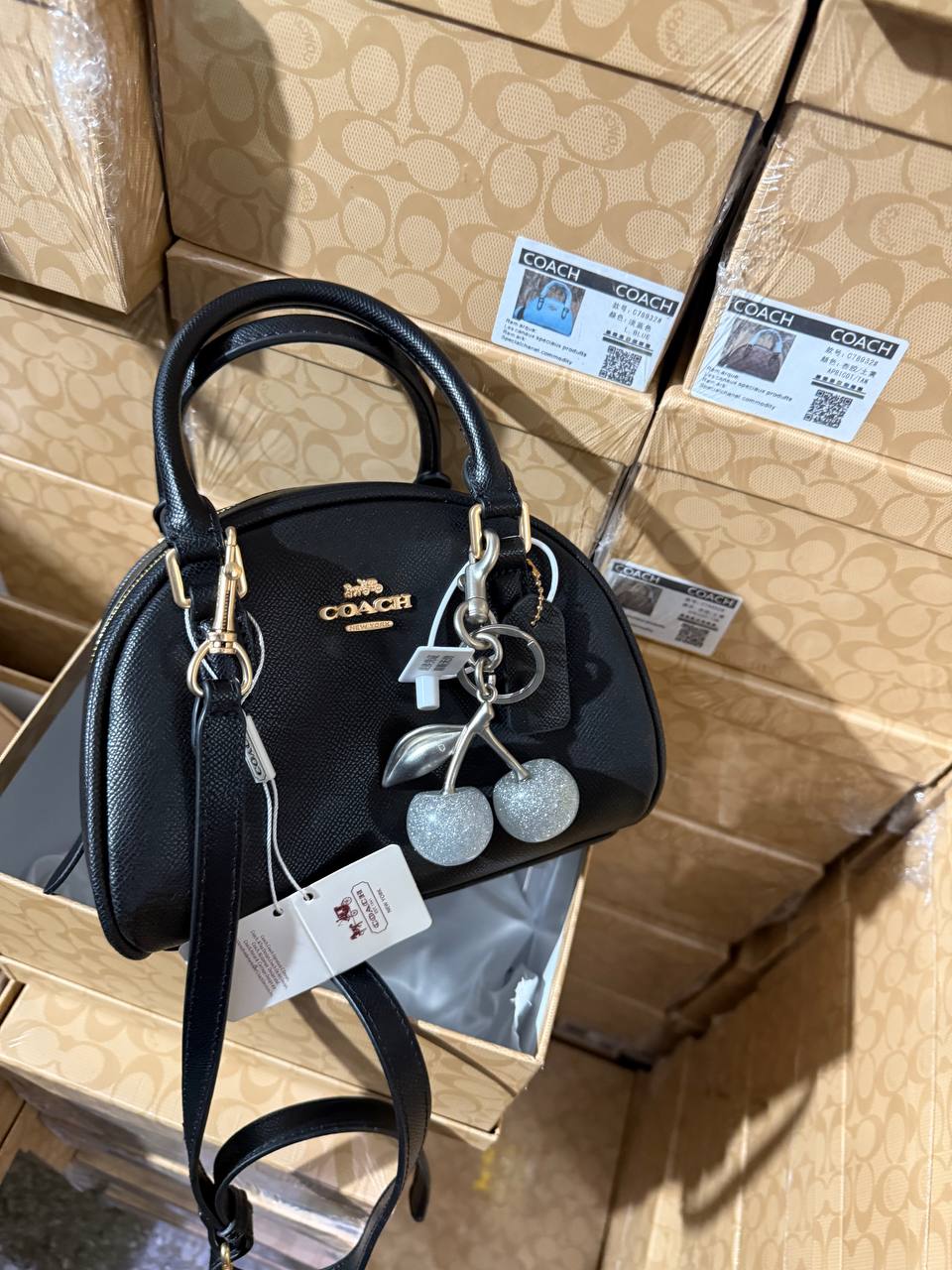 Sac Chic Coach CO8538