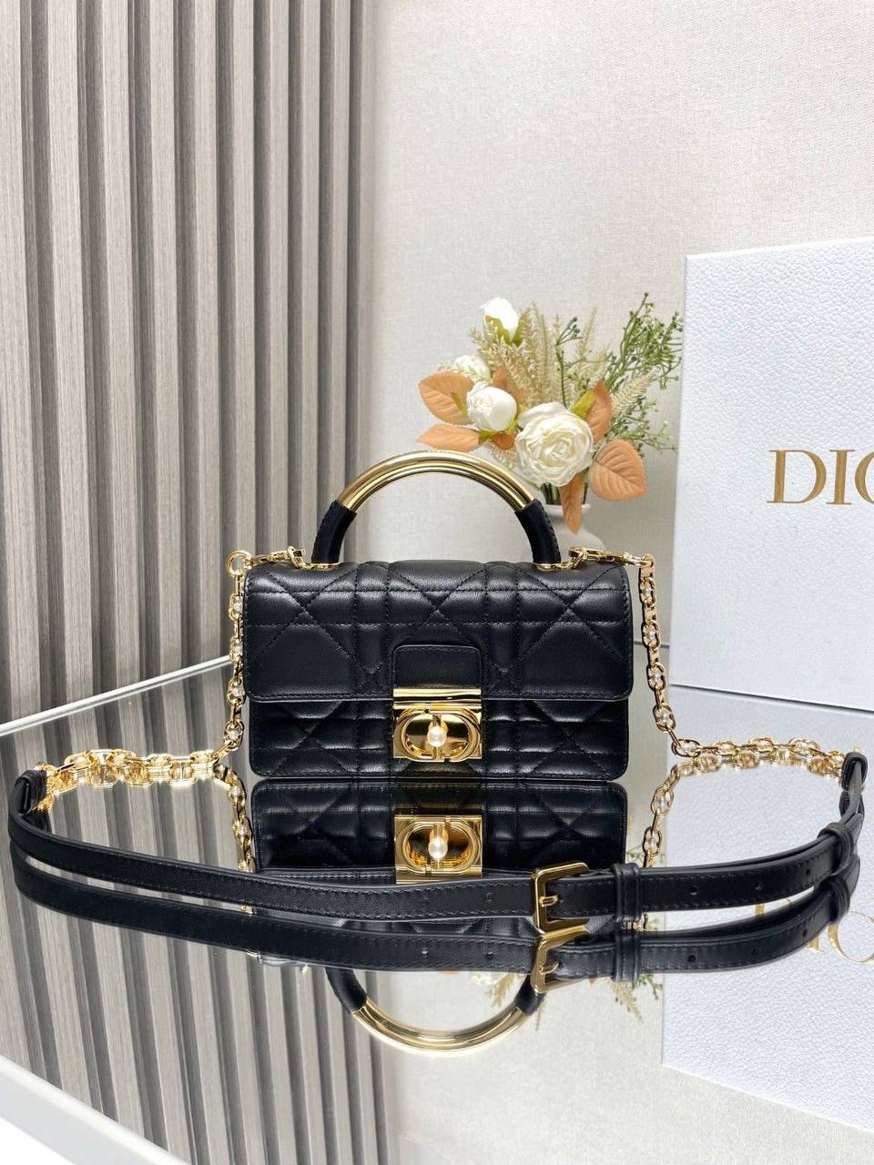 Sac Christian Dior CD5430