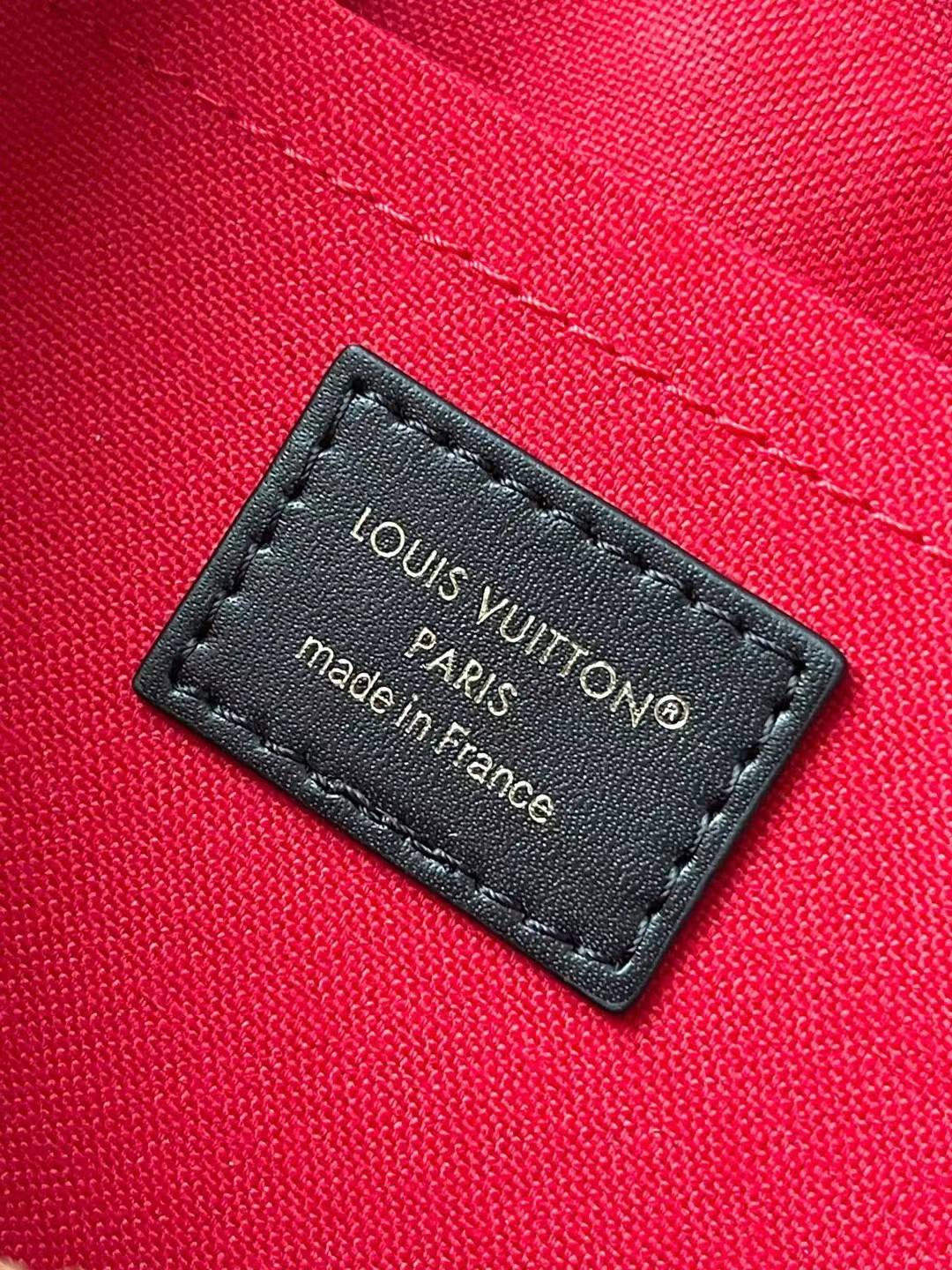 Sac Louis Vuitton en Vrai Cuir