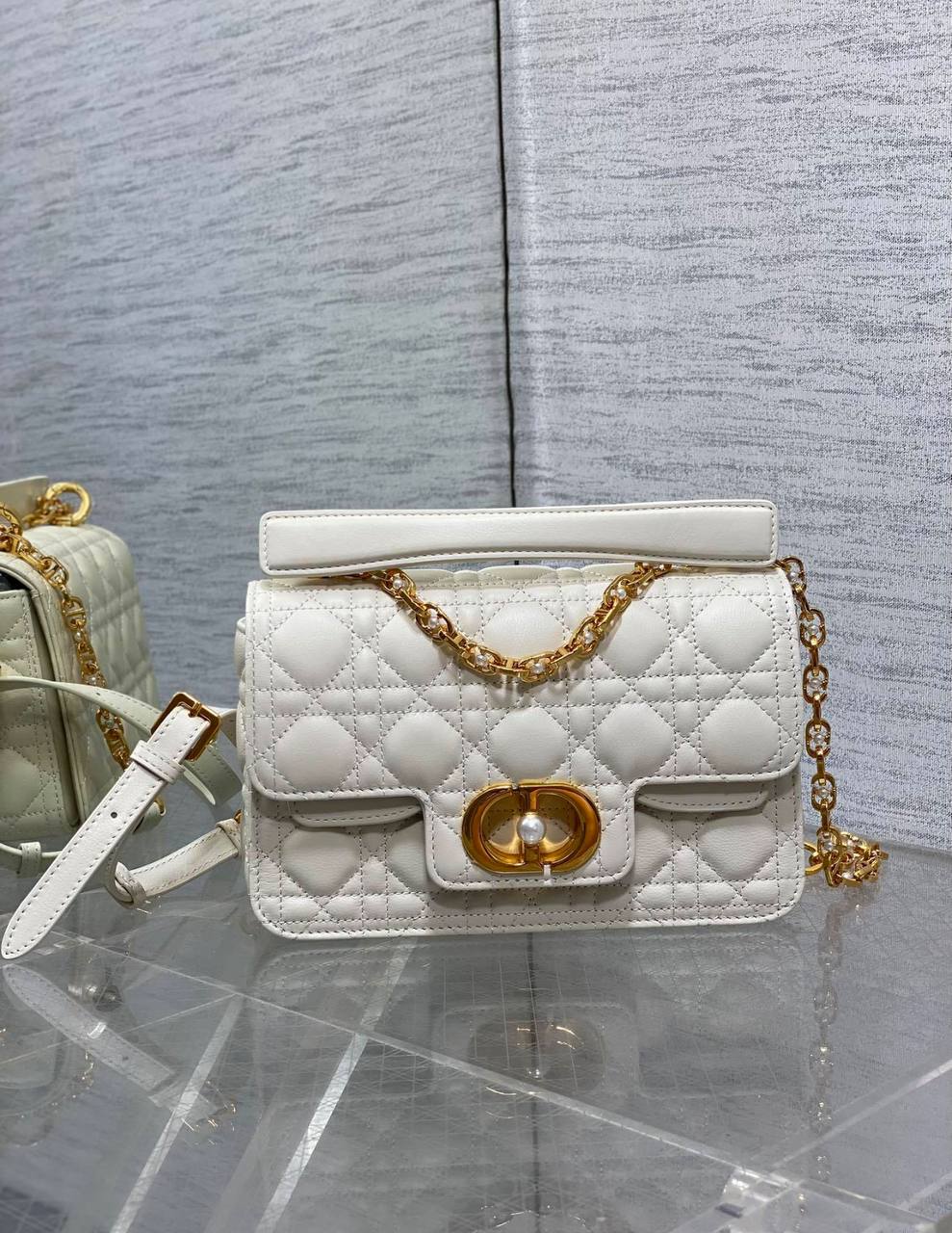 Sac Christian Dior CD1234