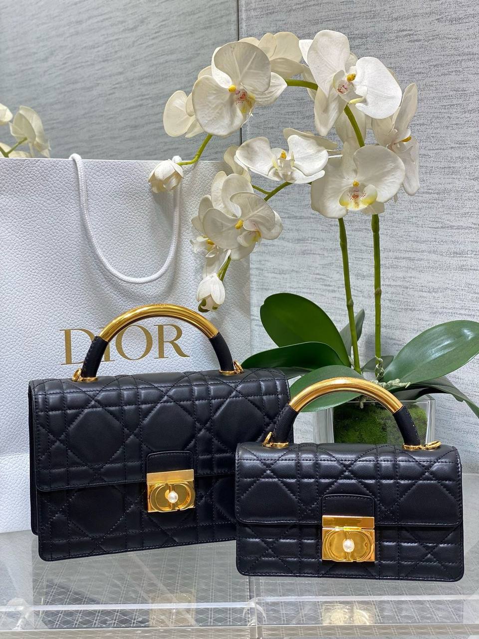 Sac Christian Dior CD5430