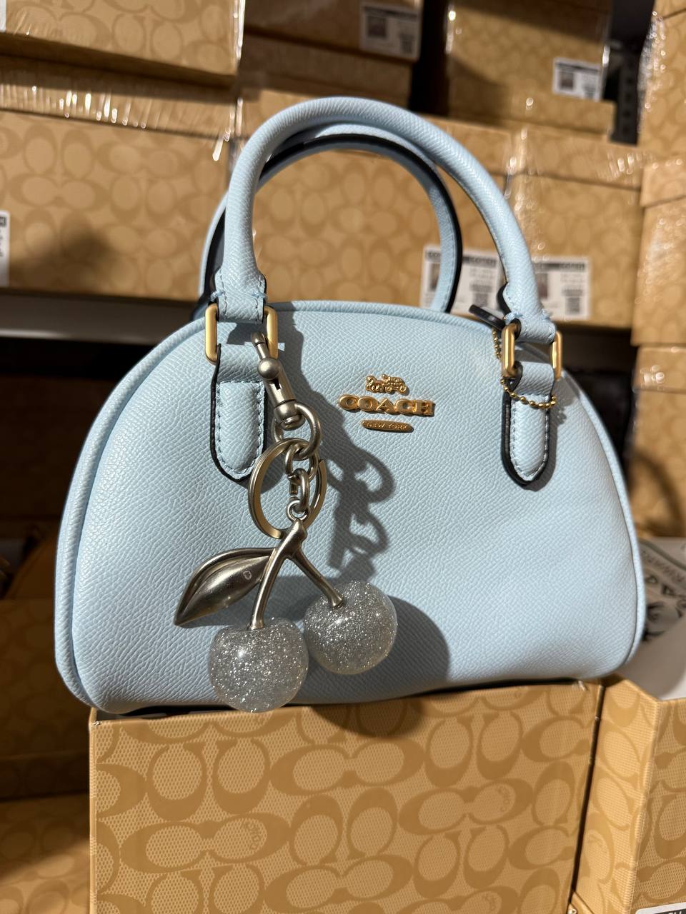Sac Chic Coach CO8538