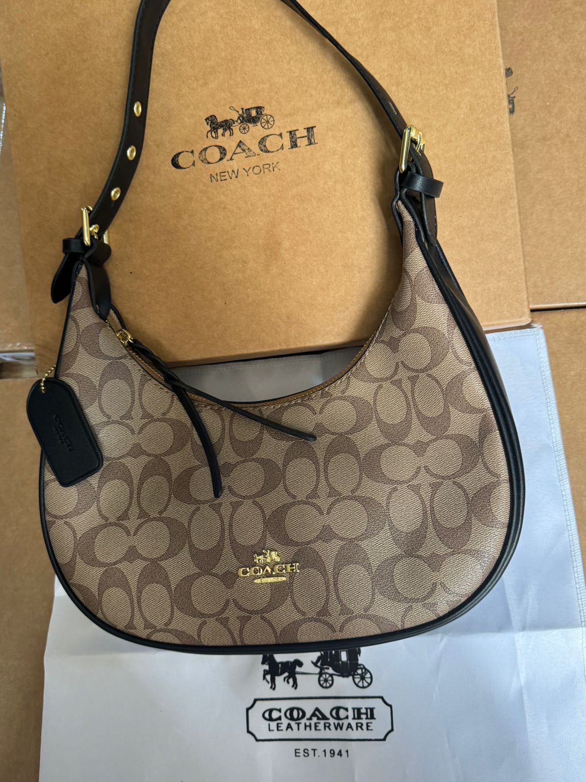Sac a main de Luxe Coach