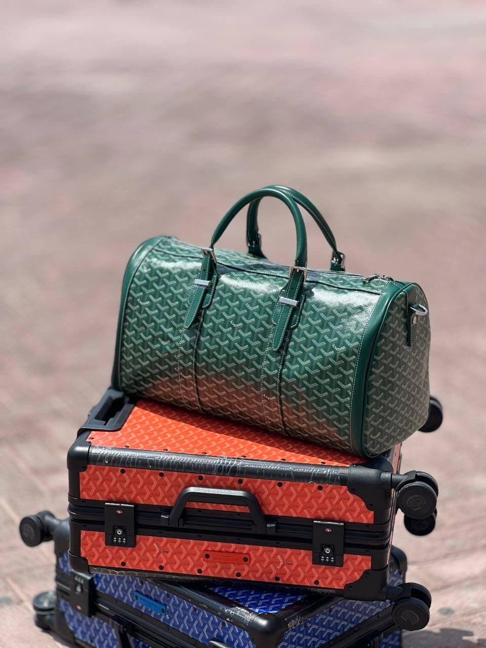 Sac de Voyage Goyard en Couleurs