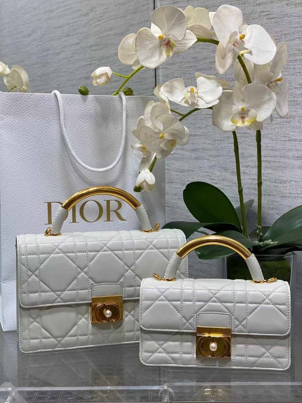 Sac Christian Dior CD5430