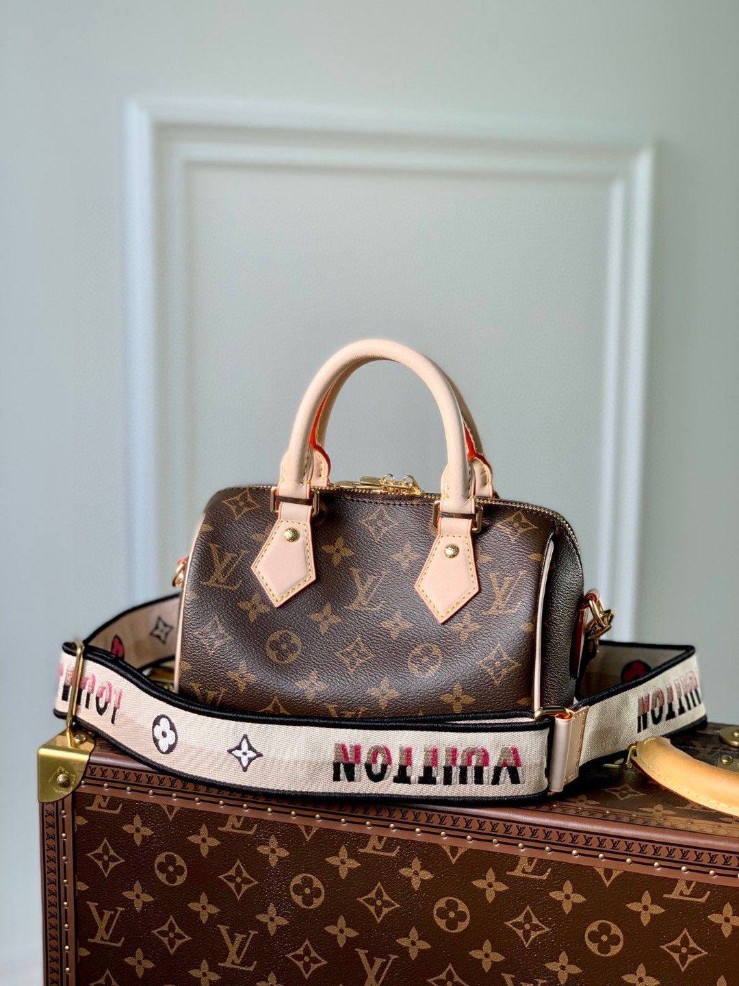 Sac Louis Vuitton Speedy Cuir