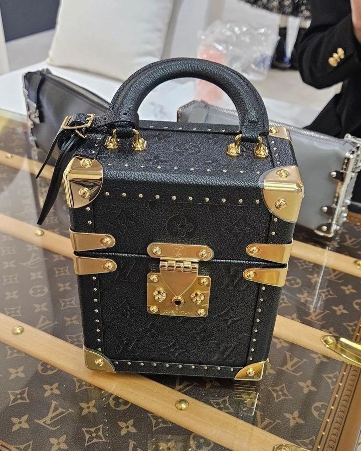Sac Louis Vuitton Petite Malle