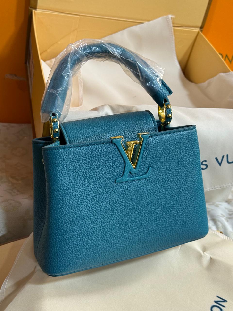 Sac En Couleurs Louis Vuitton Capucines