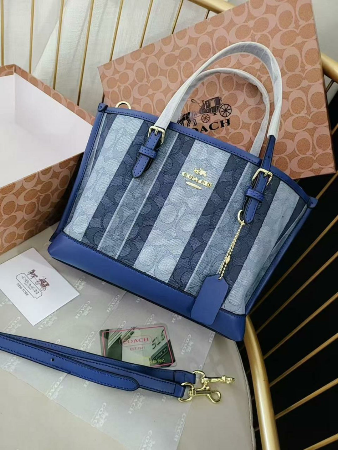 Sac Coach en Couleur CO9870