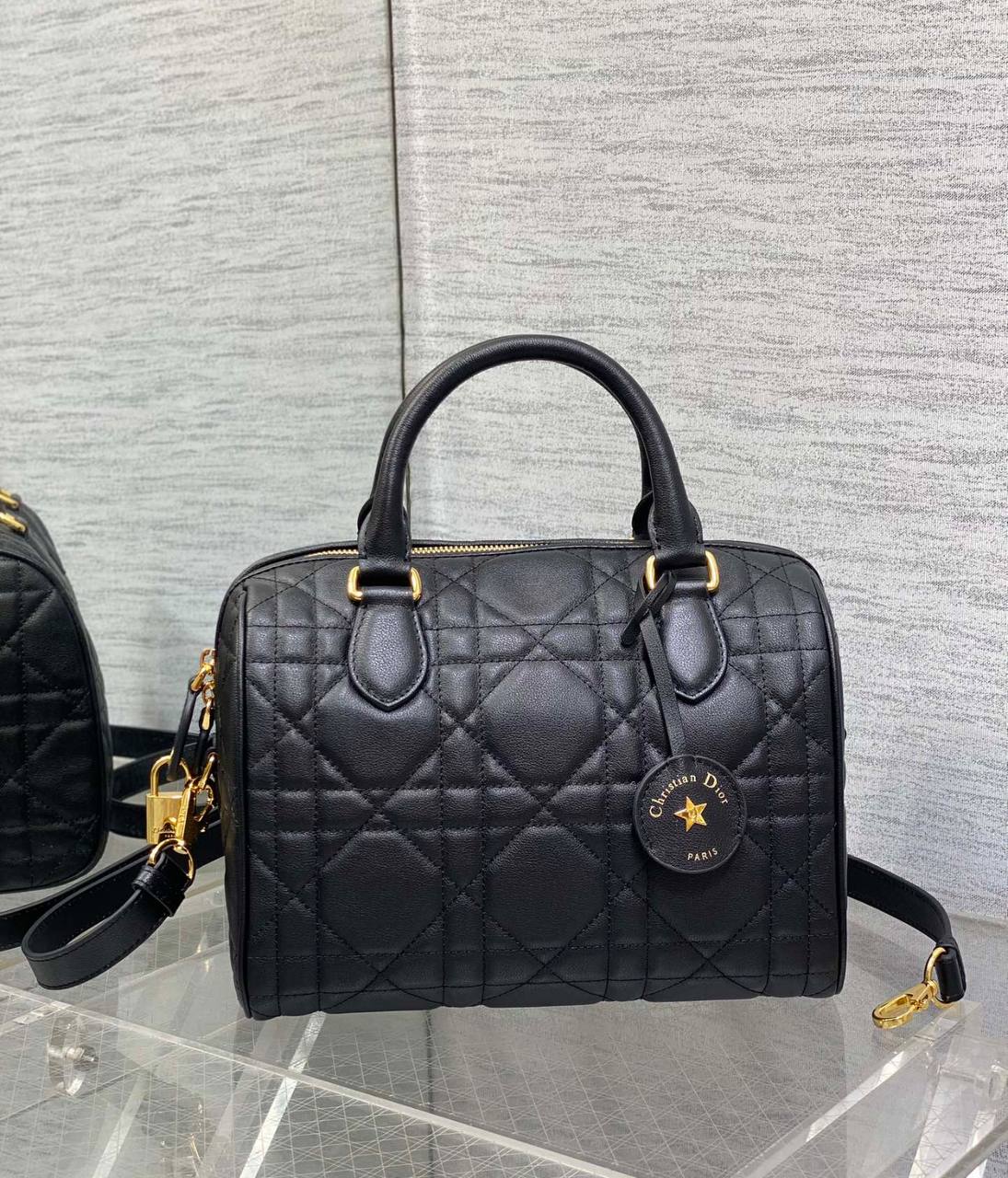 Sac Christian Dior Speedy