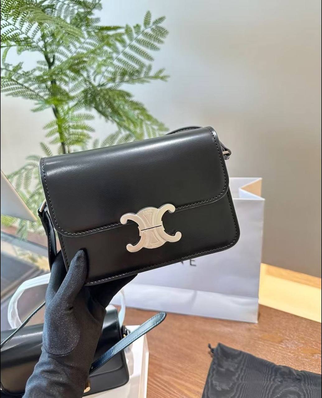 Sac Chic Céline Cuir CL9863