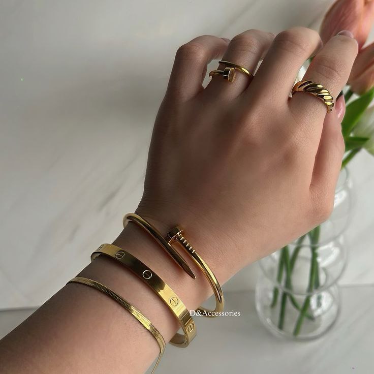 Bracelet Cartier Love & Juste un Clou Inoxydable