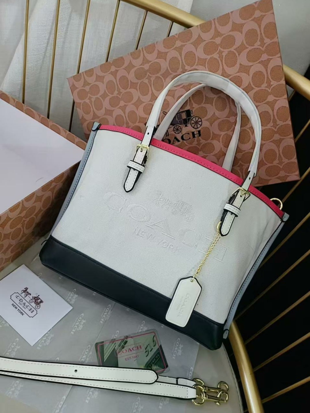 Sac Coach en Couleur CO9870