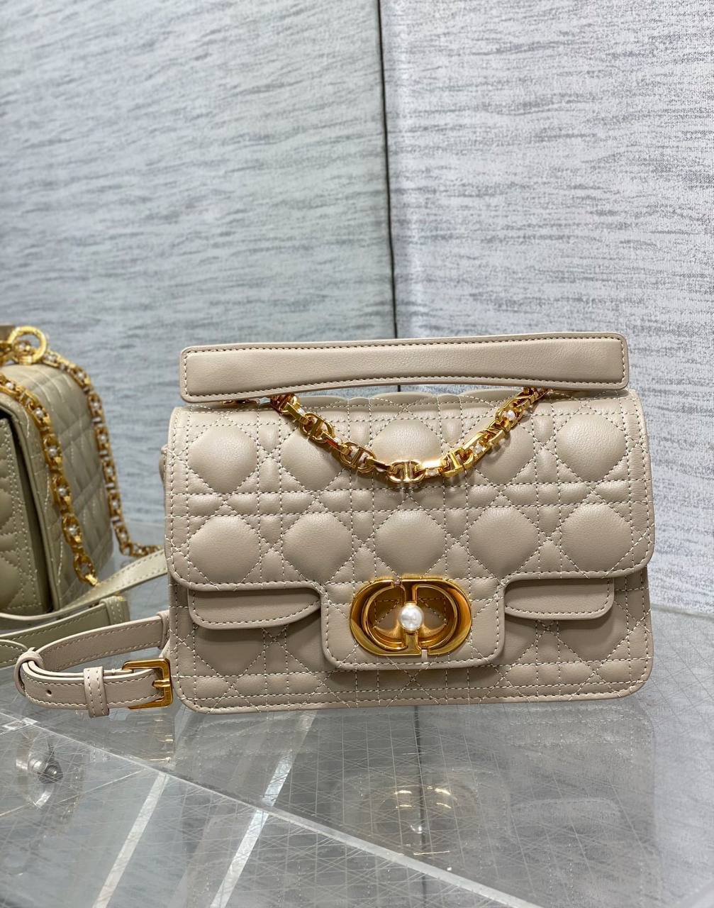 Sac Christian Dior CD1234