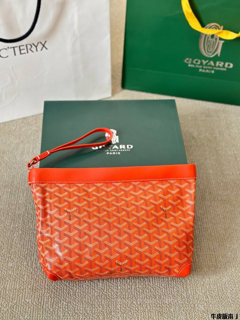 Pochette Goyard Teryx en Couleurs
