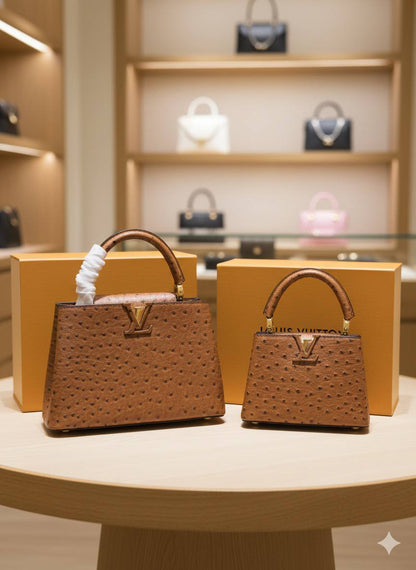 Sac Louis Vuitton Cappucine Vrai Cuir