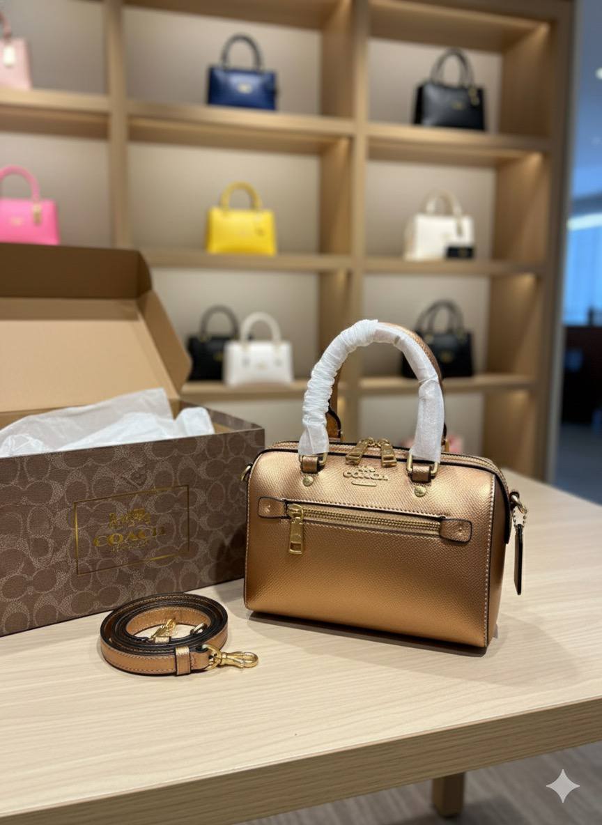 Mini Sac Coach Speedy en Couleurs