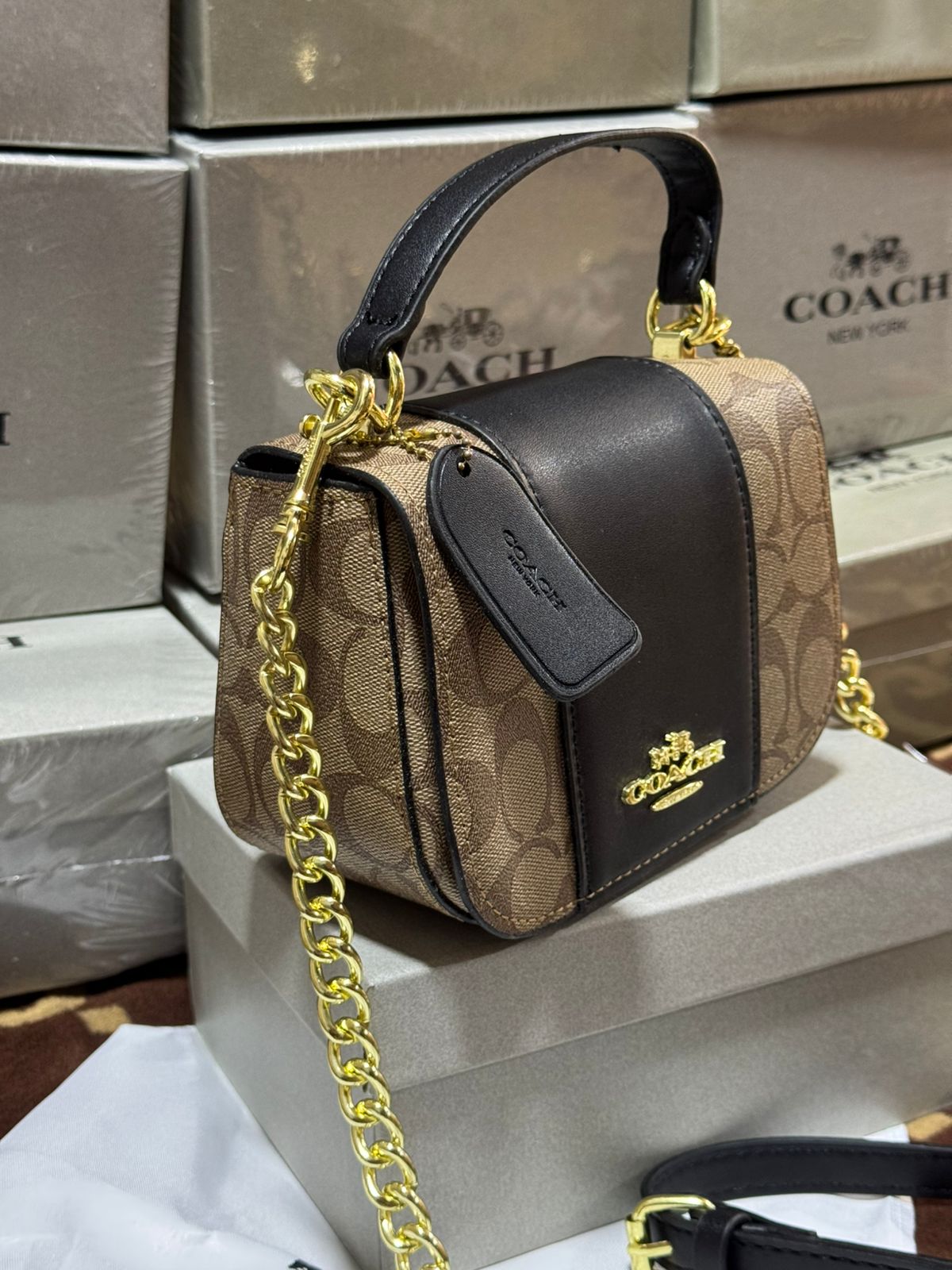 Sac de Luxe Coach en Couleurs