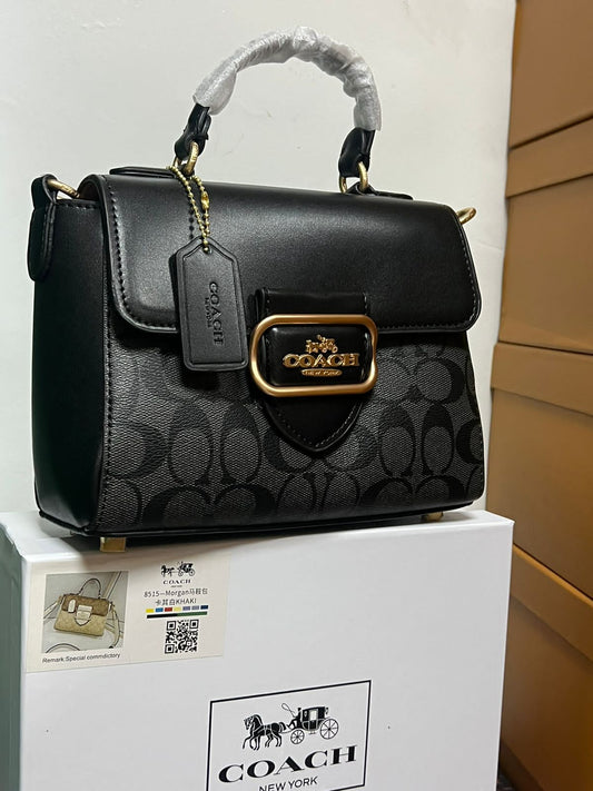 Sac Chic Coach CO8970