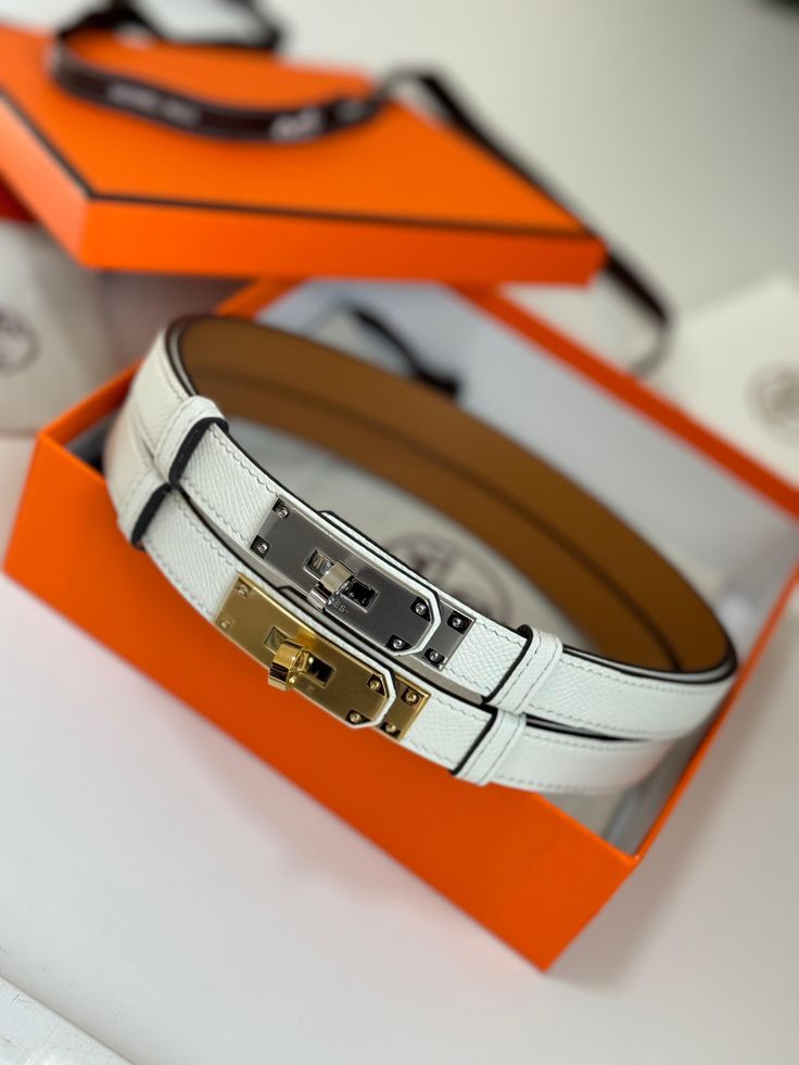 Ceinture Chic Hermès en Couleurs