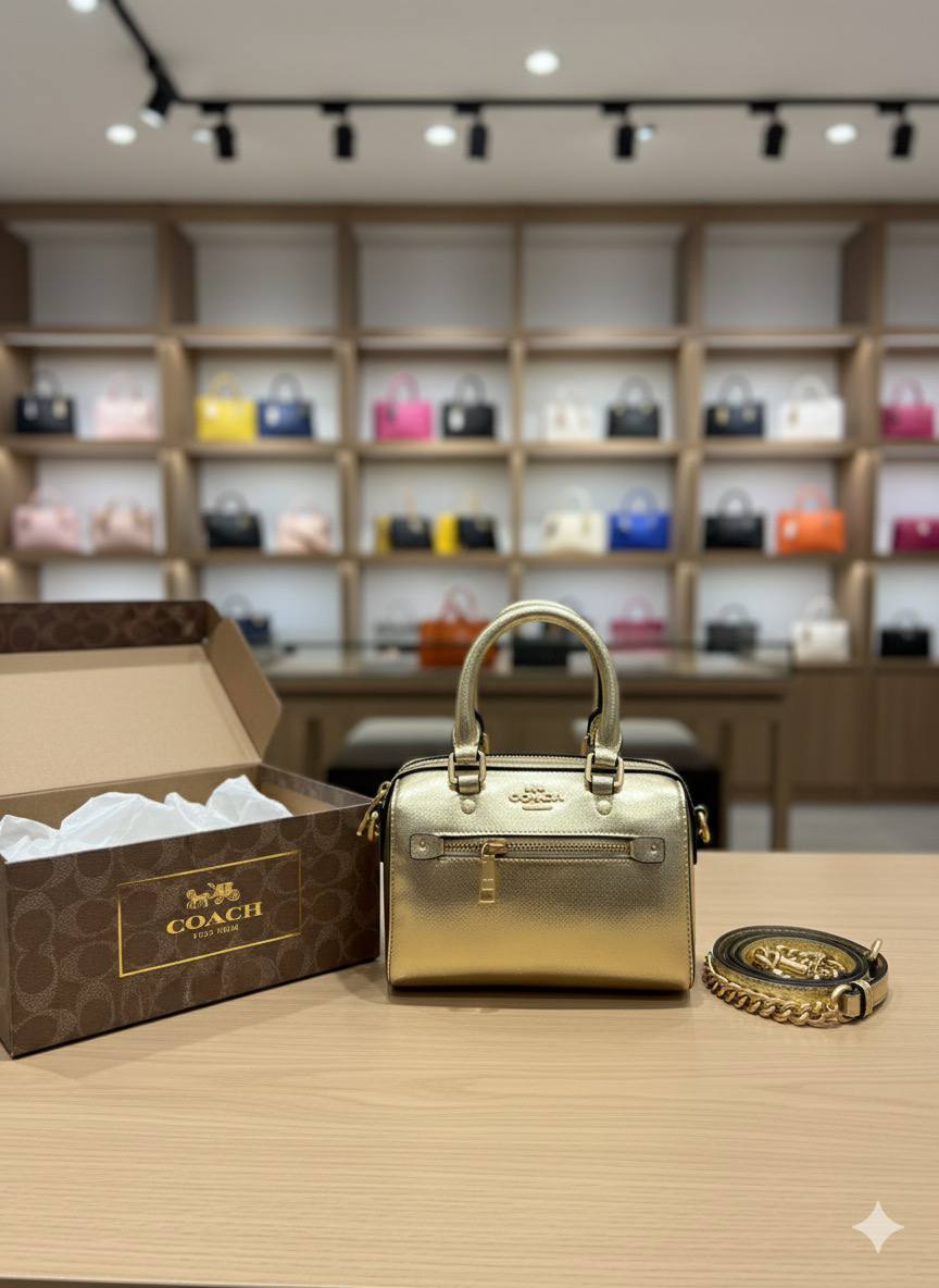 Mini Sac Coach Speedy en Couleurs