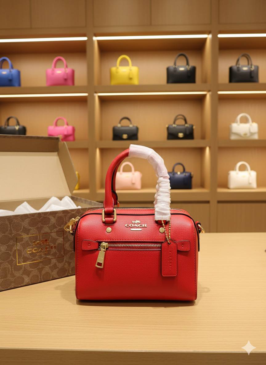 Mini Sac Coach Speedy en Couleurs