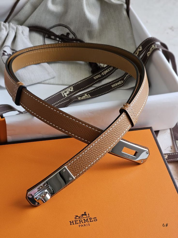 Ceinture Chic Hermès en Couleurs