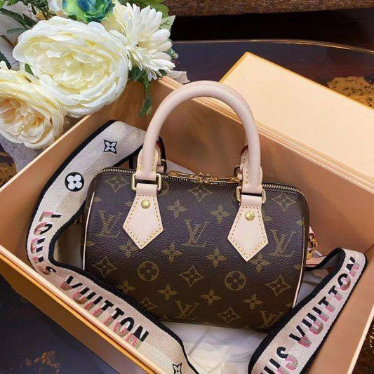 Sac Louis Vuitton Speedy Cuir