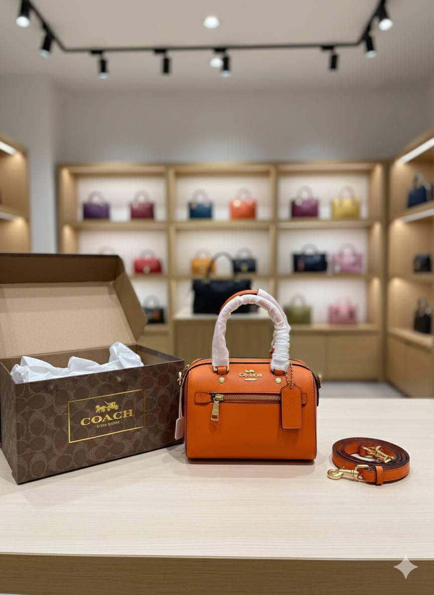 Mini Sac Coach Speedy en Couleurs