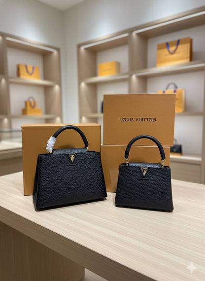 Sac Louis Vuitton Cappucine Vrai Cuir