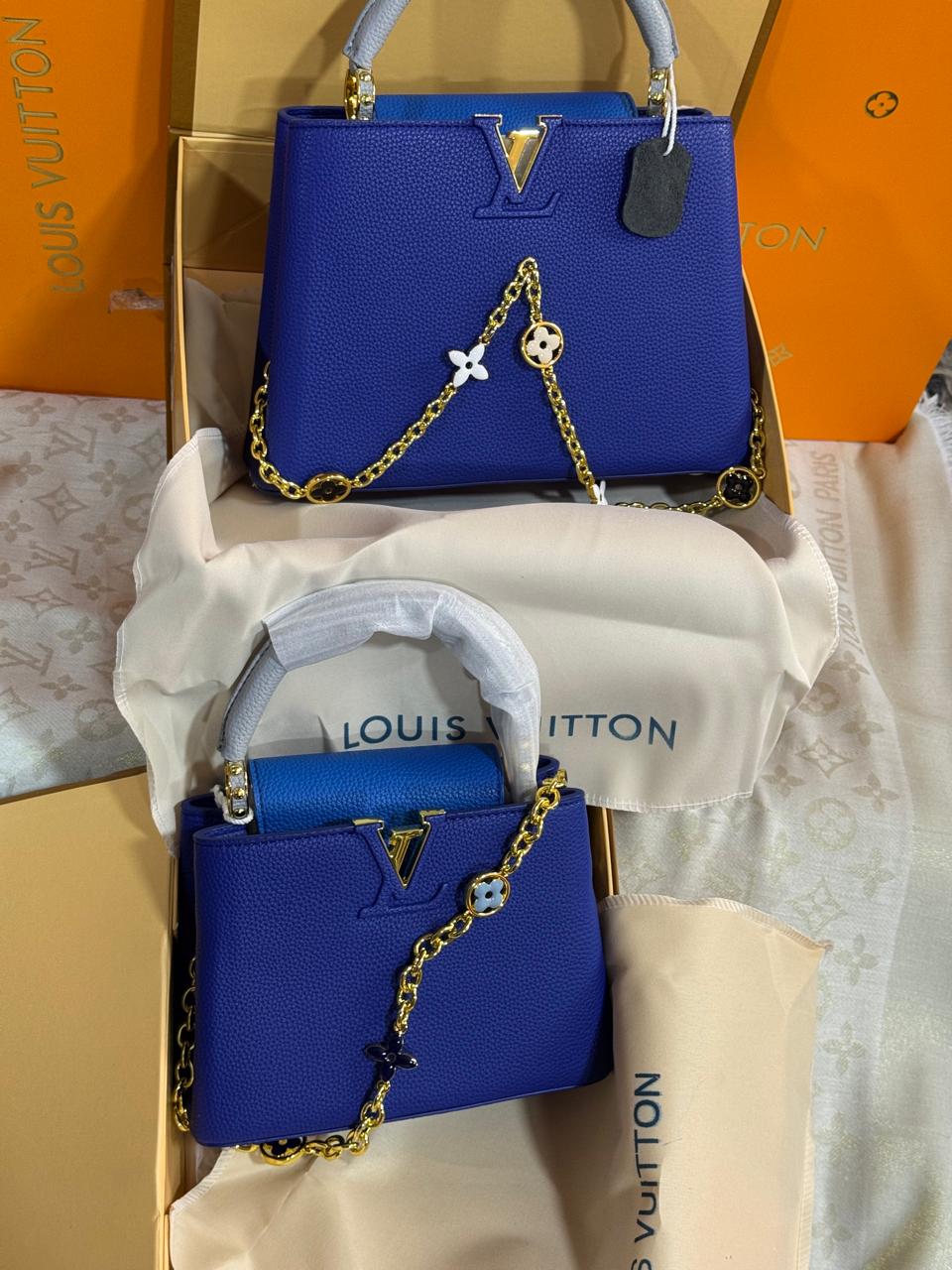 Sac Chic Louis Vuitton en Couleurs