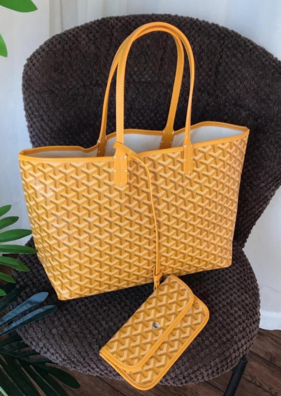 Sac Cabas Goyard en Couleurs