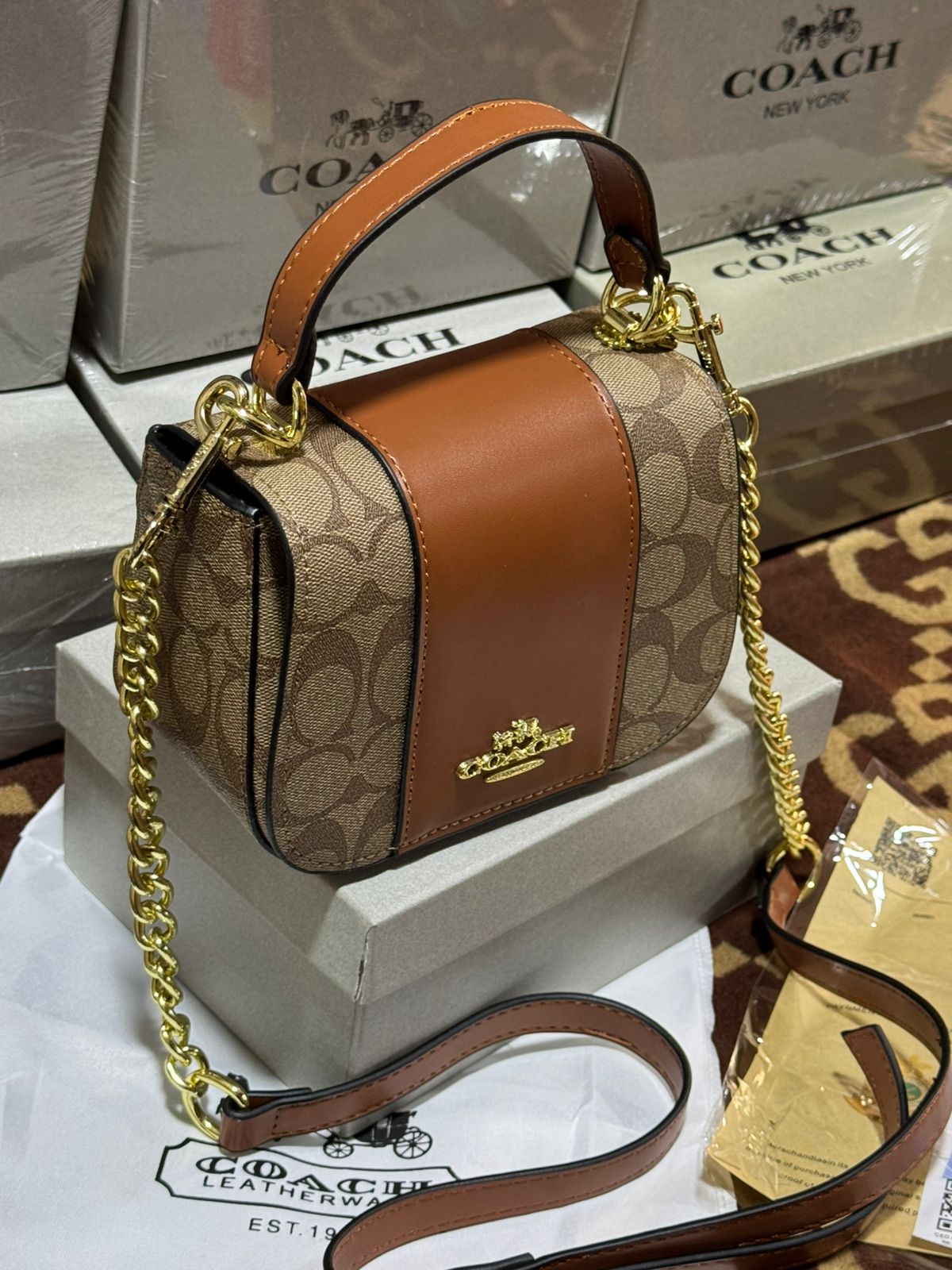 Sac de Luxe Coach en Couleurs