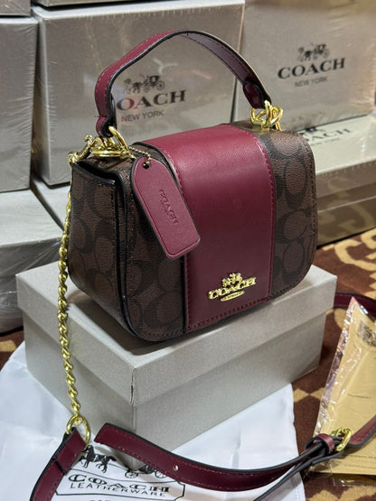 Sac de Luxe Coach en Couleurs