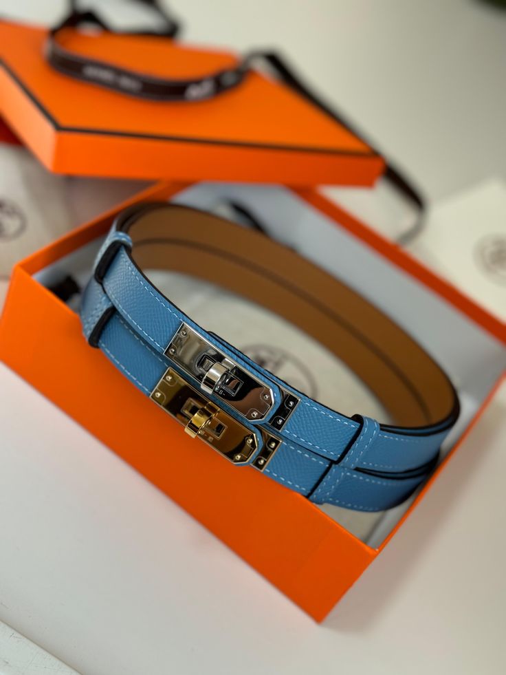 Ceinture Chic Hermès en Couleurs