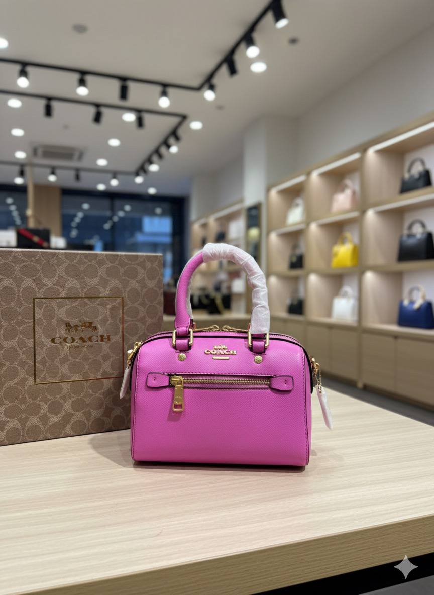 Mini Sac Coach Speedy en Couleurs