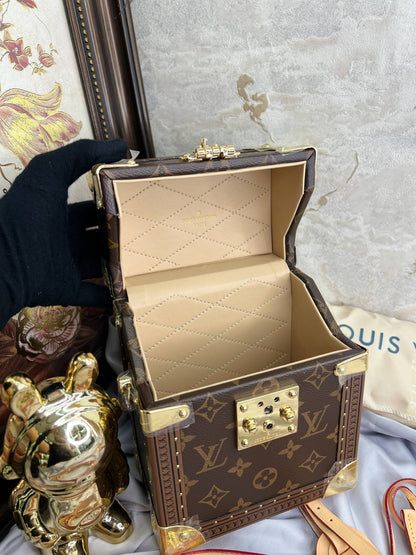 Sac Louis Vuitton Petite Malle