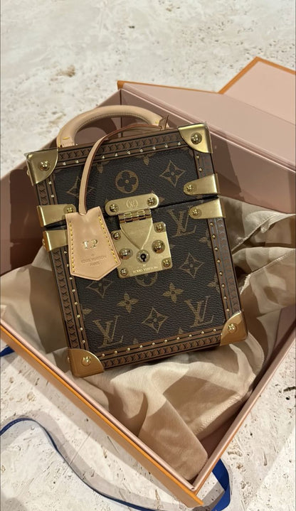 Sac Louis Vuitton Petite Malle