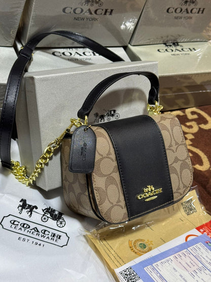 Sac de Luxe Coach en Couleurs