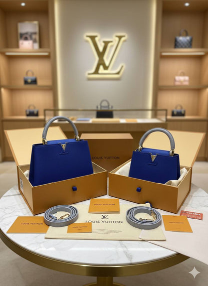 Sac Louis Vuitton Cappucine Cuir