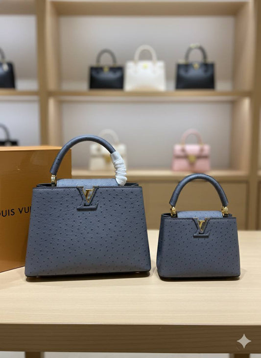 Sac Louis Vuitton Cappucine Vrai Cuir